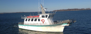 island current II boat