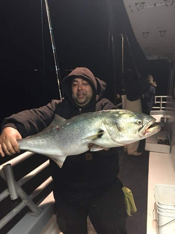 Bluefish Fishing New York Brings The Best And The Biggest 
